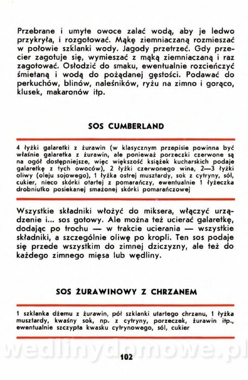 Gumowska I. - Owoce dziko rosnące_099.jpg