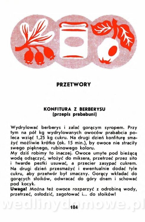 Gumowska I. - Owoce dziko rosnące_101.jpg