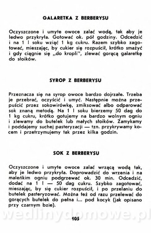 Gumowska I. - Owoce dziko rosnące_102.jpg