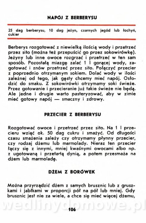 Gumowska I. - Owoce dziko rosnące_103.jpg