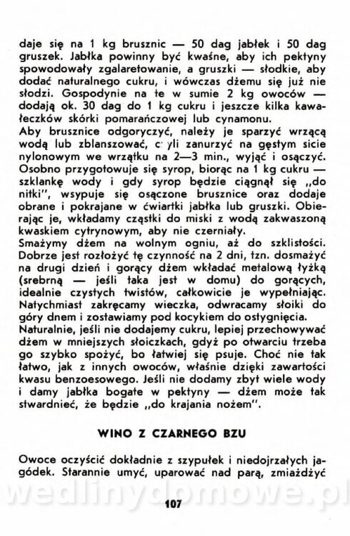 Gumowska I. - Owoce dziko rosnące_104.jpg