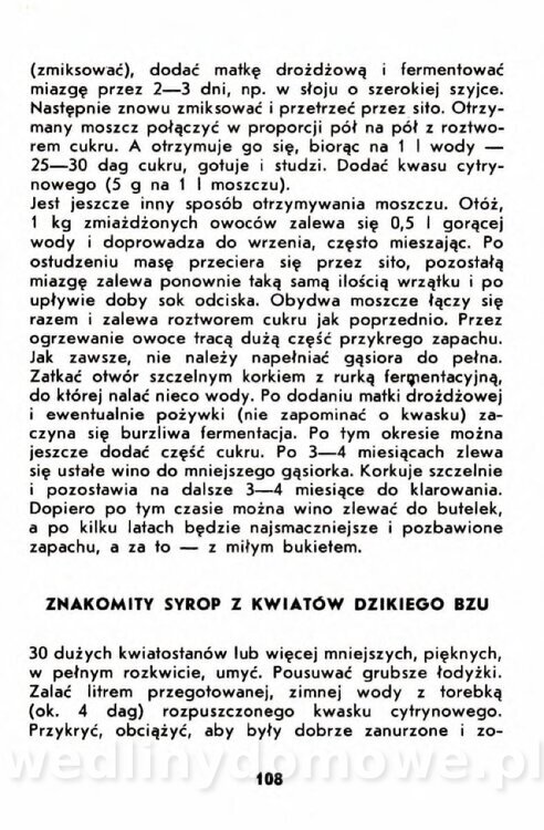 Gumowska I. - Owoce dziko rosnące_105.jpg