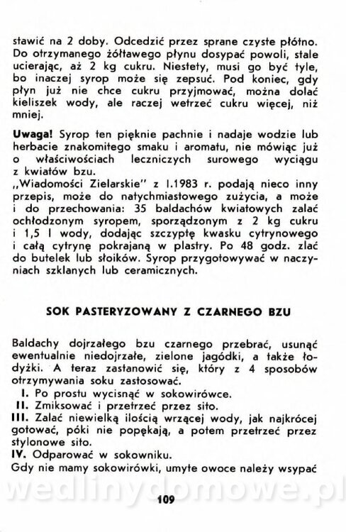 Gumowska I. - Owoce dziko rosnące_106.jpg