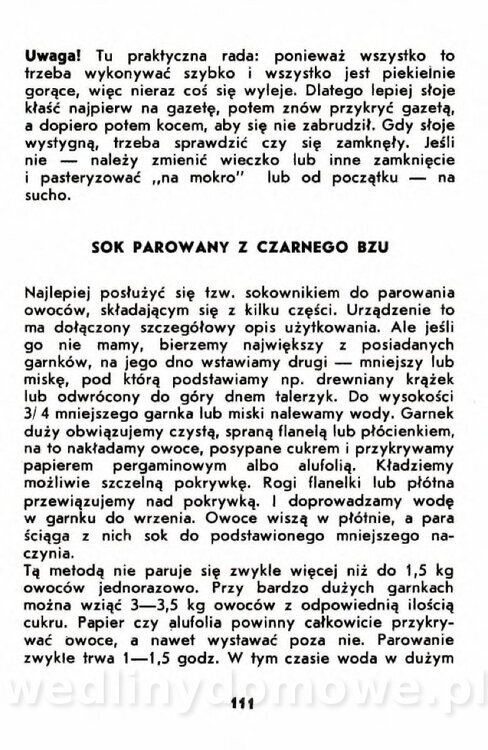 Gumowska I. - Owoce dziko rosnące_108.jpg