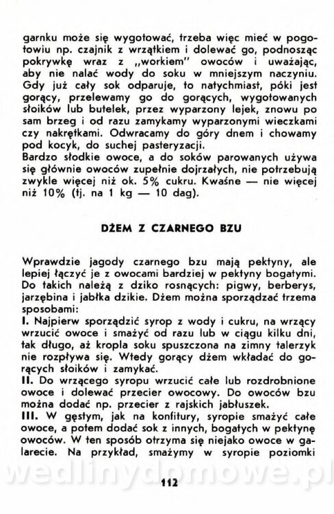 Gumowska I. - Owoce dziko rosnące_109.jpg