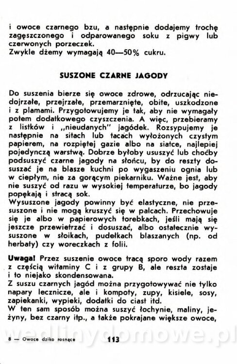 Gumowska I. - Owoce dziko rosnące_110.jpg