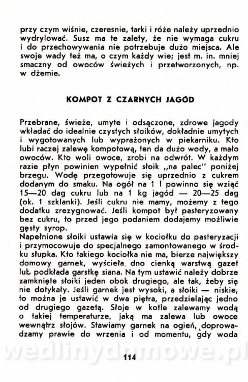 Gumowska I. - Owoce dziko rosnące_111.jpg