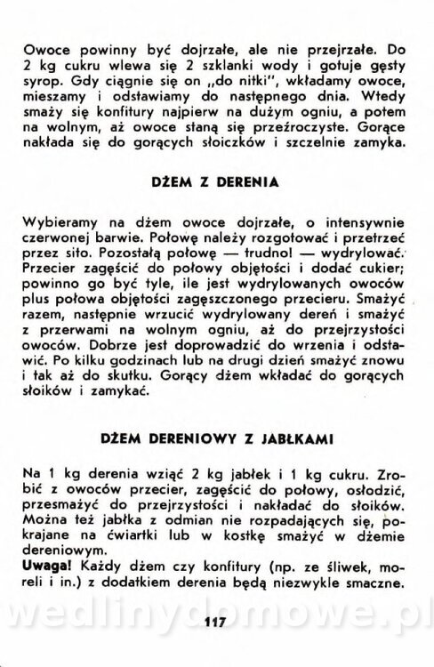 Gumowska I. - Owoce dziko rosnące_114.jpg