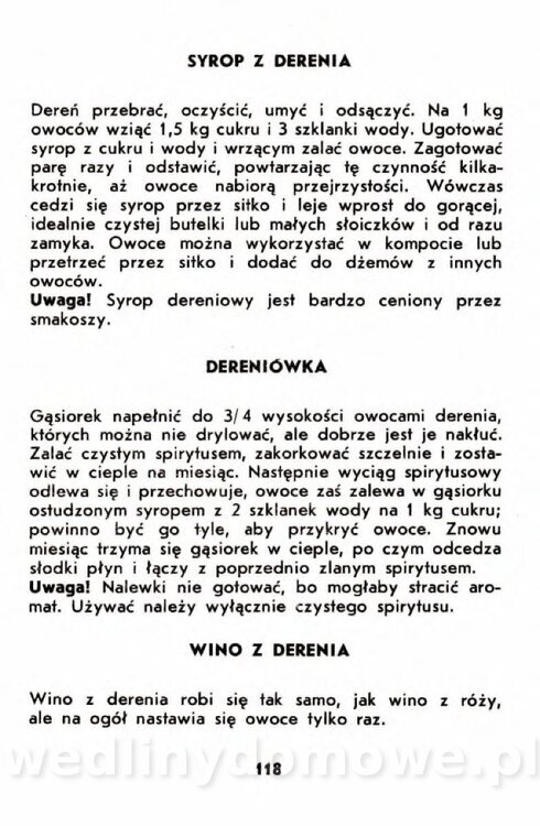 Gumowska I. - Owoce dziko rosnące_115.jpg
