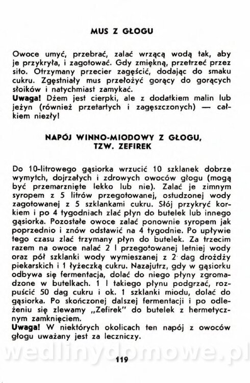 Gumowska I. - Owoce dziko rosnące_116.jpg