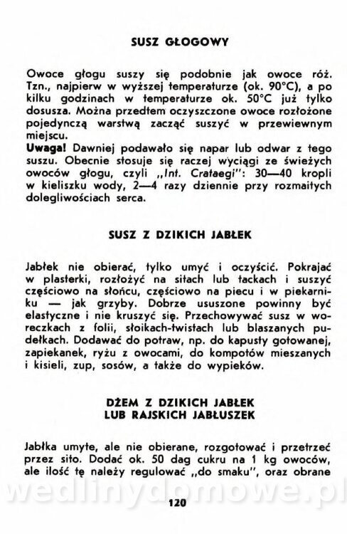 Gumowska I. - Owoce dziko rosnące_117.jpg
