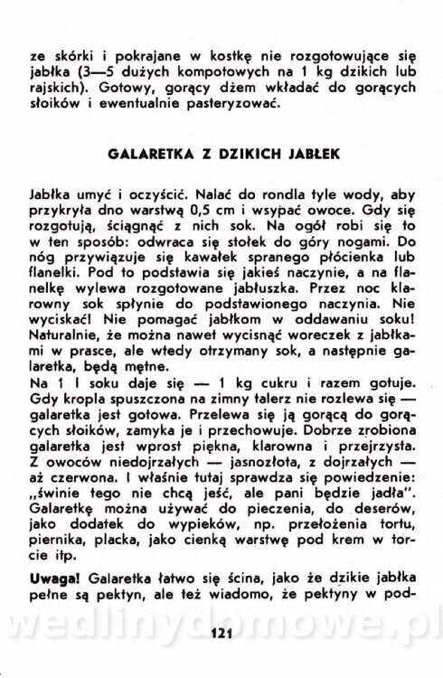 Gumowska I. - Owoce dziko rosnące_118.jpg