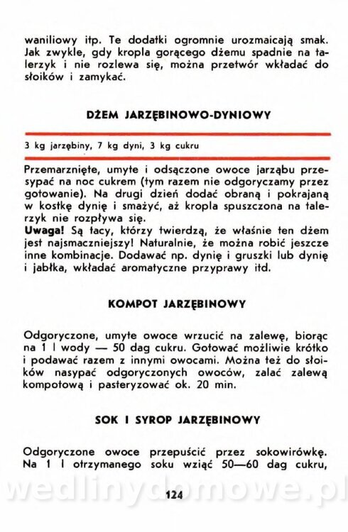 Gumowska I. - Owoce dziko rosnące_121.jpg