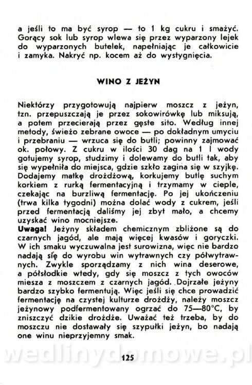 Gumowska I. - Owoce dziko rosnące_122.jpg