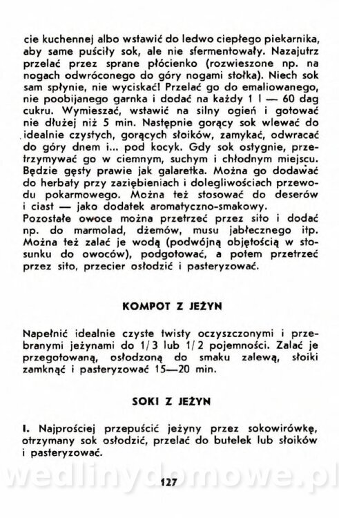 Gumowska I. - Owoce dziko rosnące_124.jpg