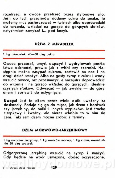 Gumowska I. - Owoce dziko rosnące_126.jpg