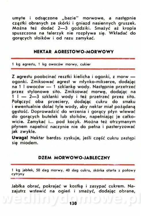 Gumowska I. - Owoce dziko rosnące_127.jpg