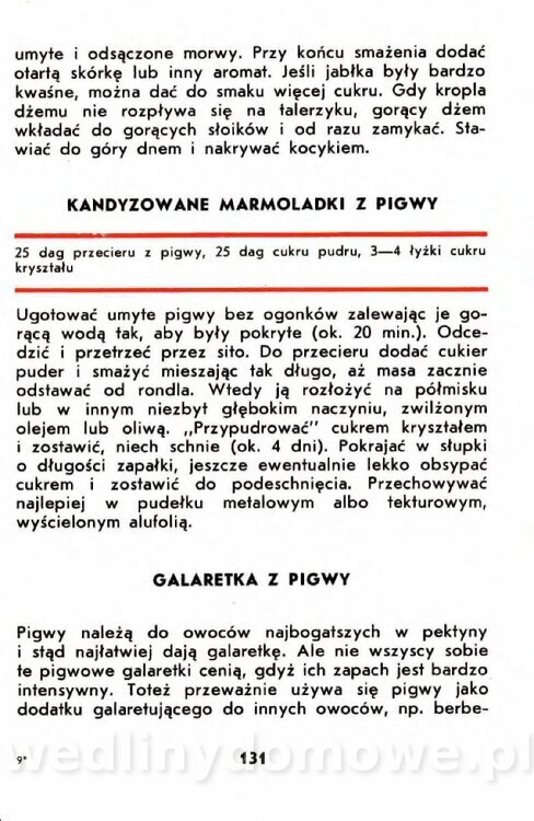 Gumowska I. - Owoce dziko rosnące_128.jpg
