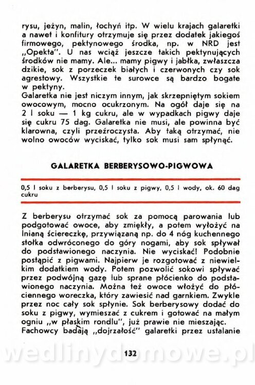 Gumowska I. - Owoce dziko rosnące_129.jpg