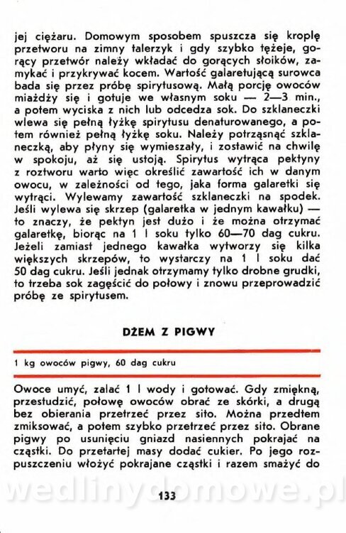 Gumowska I. - Owoce dziko rosnące_130.jpg