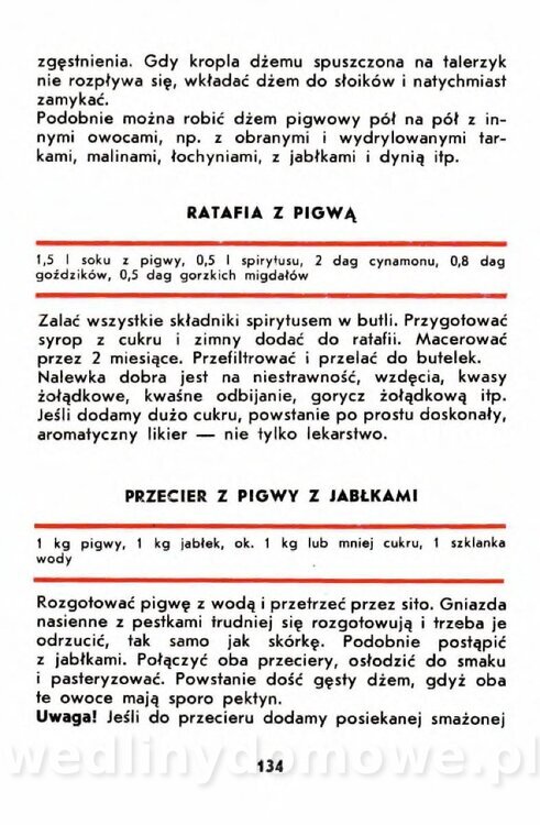 Gumowska I. - Owoce dziko rosnące_131.jpg