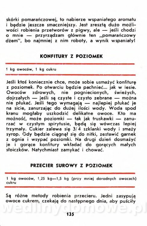 Gumowska I. - Owoce dziko rosnące_132.jpg