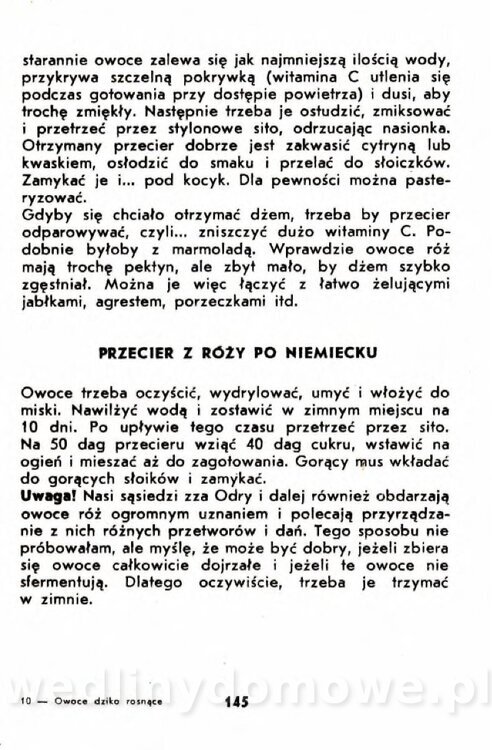 Gumowska I. - Owoce dziko rosnące_142.jpg