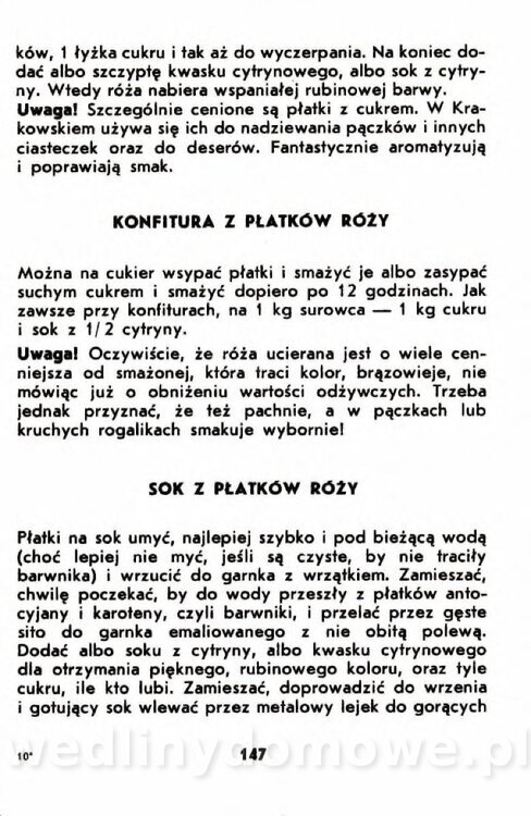 Gumowska I. - Owoce dziko rosnące_144.jpg