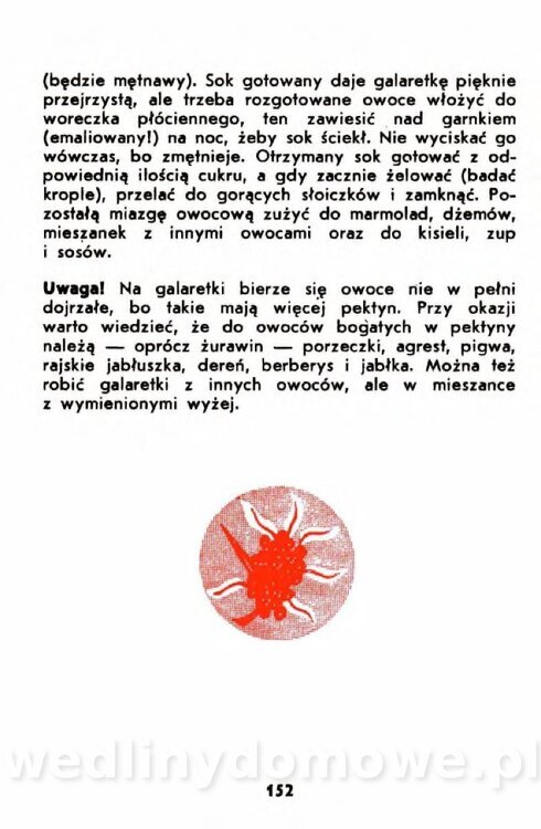 Gumowska I. - Owoce dziko rosnące_149.jpg