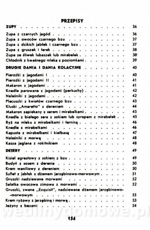 Gumowska I. - Owoce dziko rosnące_151.jpg