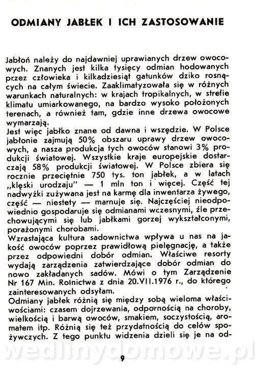 Jabłka - Gasik - 1984_011.jpg
