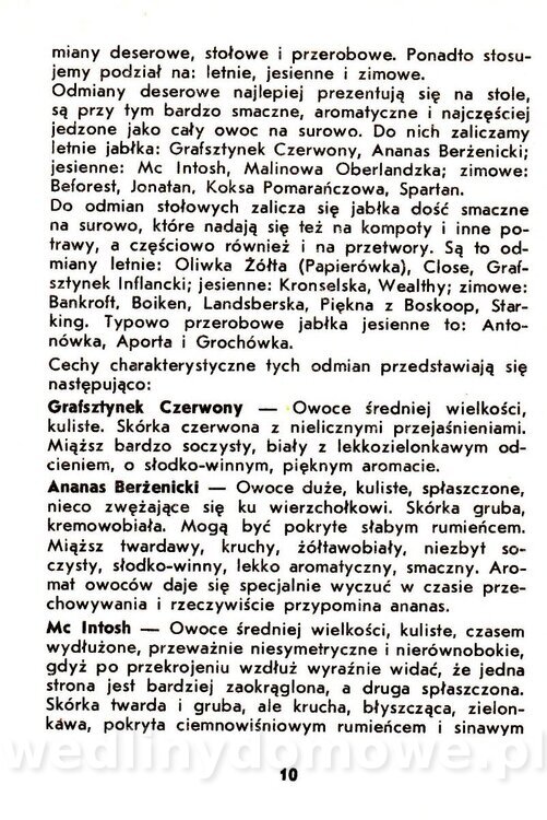 Jabłka - Gasik - 1984_012.jpg