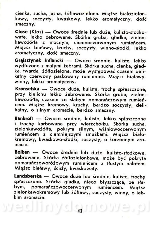 Jabłka - Gasik - 1984_014.jpg