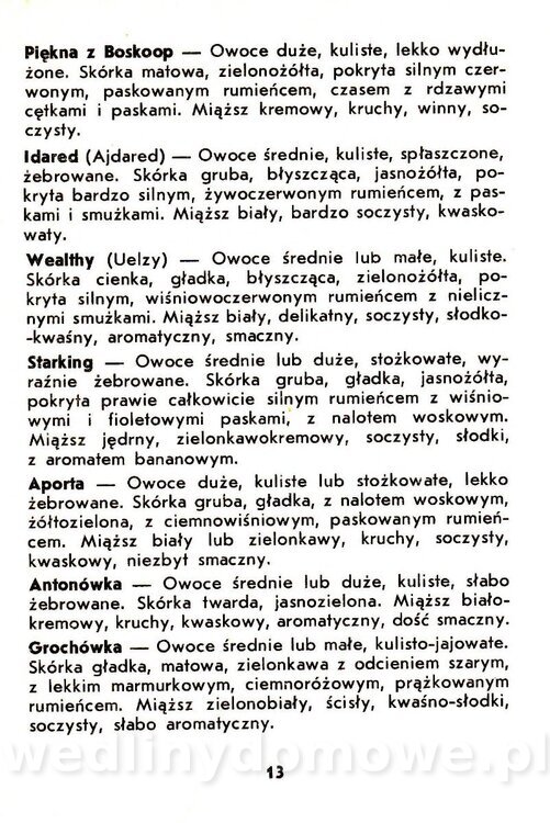 Jabłka - Gasik - 1984_015.jpg