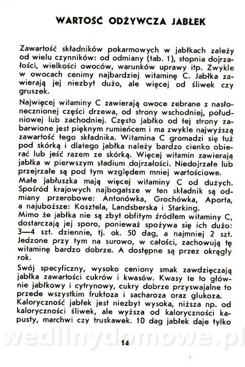 Jabłka - Gasik - 1984_016.jpg