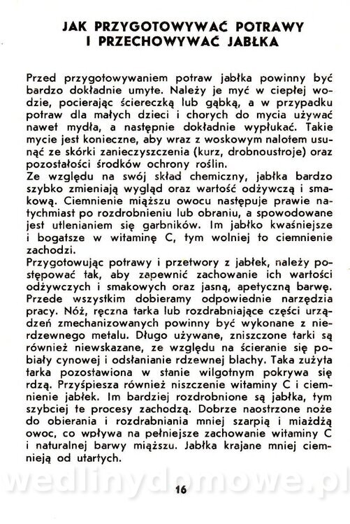 Jabłka - Gasik - 1984_018.jpg