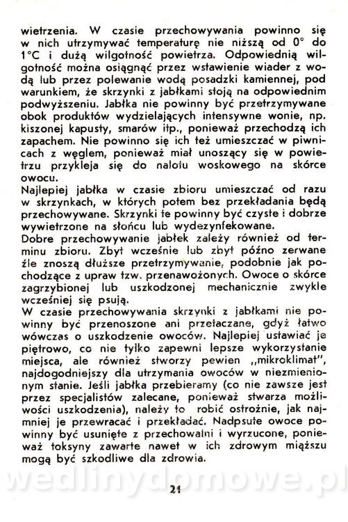 Jabłka - Gasik - 1984_023.jpg