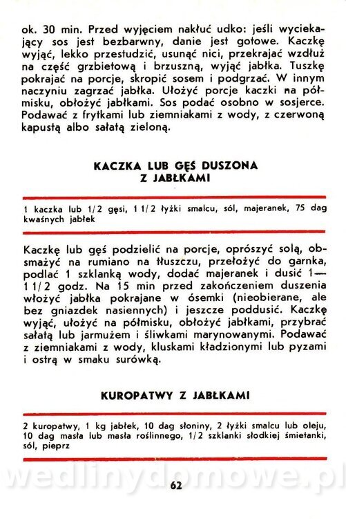 Jabłka - Gasik - 1984_064.jpg