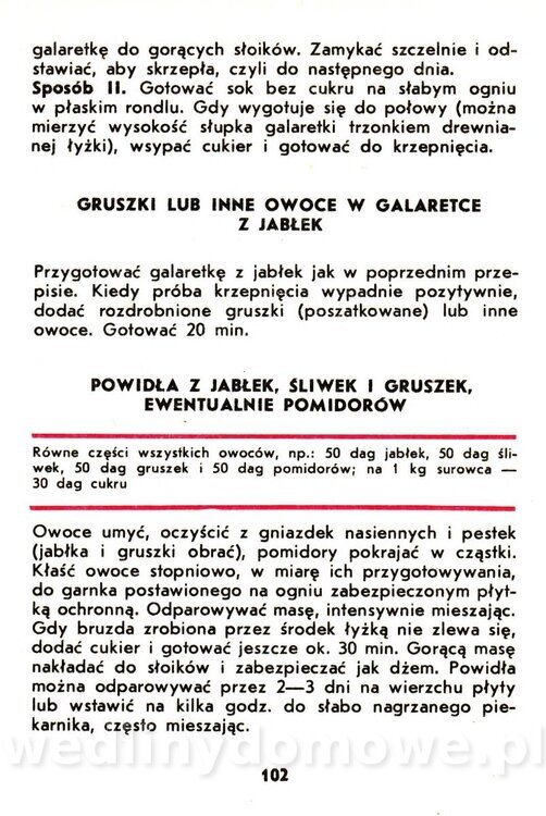 Jabłka - Gasik - 1984_104.jpg