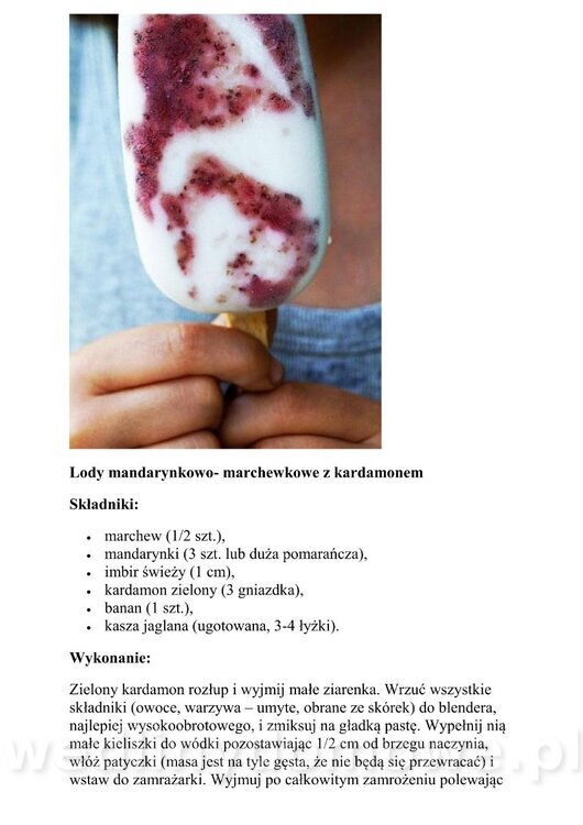 Kilka przepisów na domowe lody_08.jpg