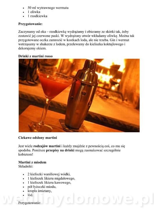 Kilka przepisów na drinki z martini (2)_12.jpg