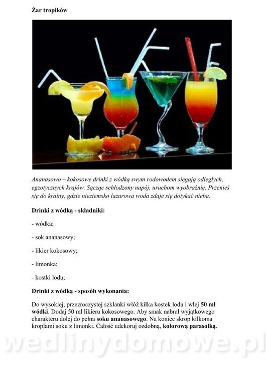 Kilka przepisów na drinki z wódką_01.jpg