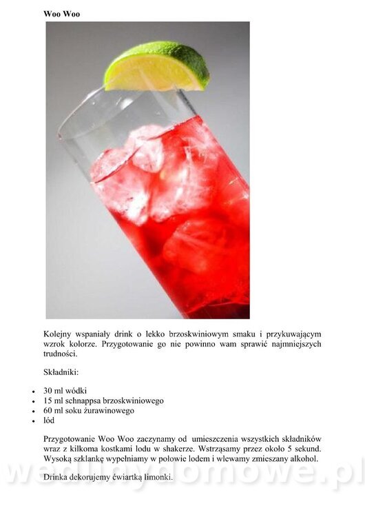 Kilka przepisów na drinki z wódką_04.jpg