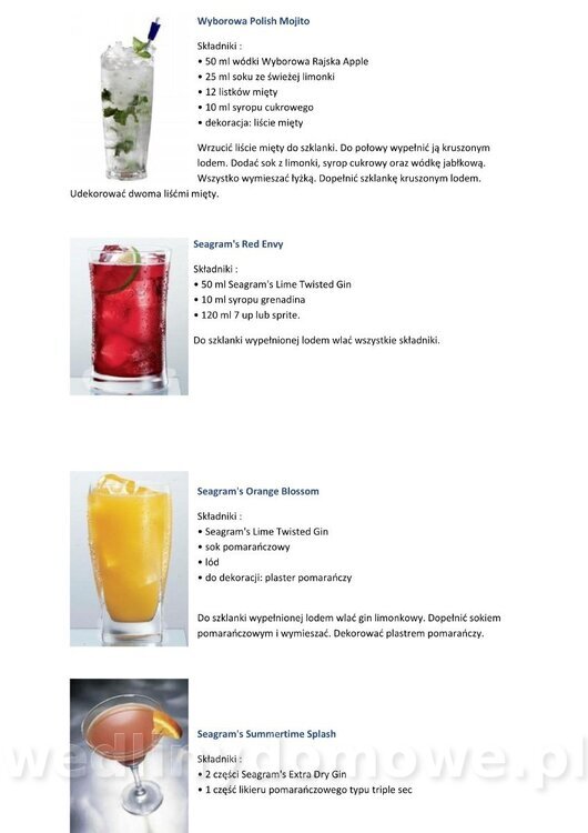 Kilka przepisów na drinki z wódką_17.jpg