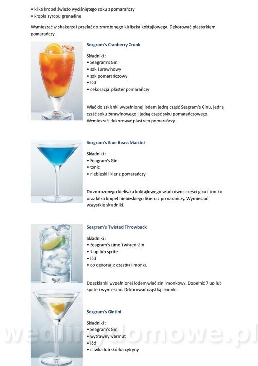 Kilka przepisów na drinki z wódką_18.jpg