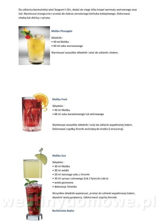 Kilka przepisów na drinki z wódką_19.jpg