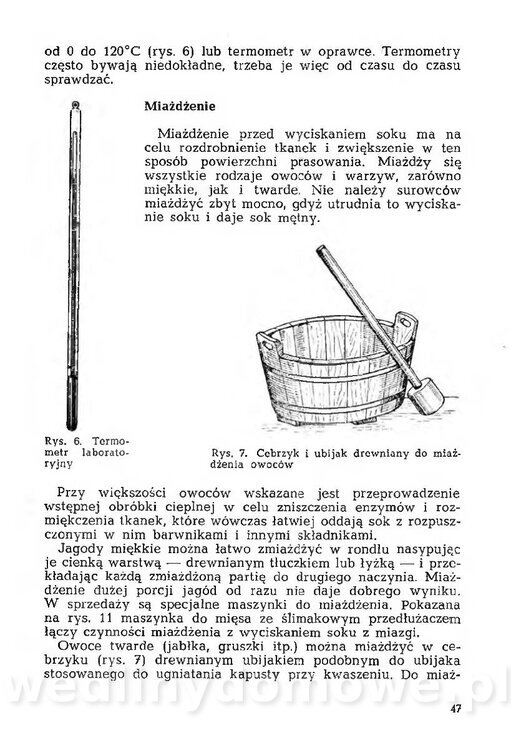 Mering A. - Domowe przetwory z owoców i warzyw_046.jpg