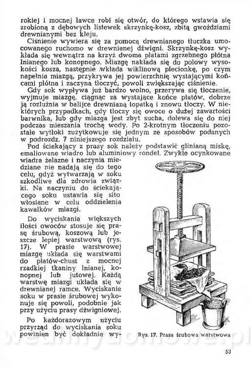 Mering A. - Domowe przetwory z owoców i warzyw_052.jpg