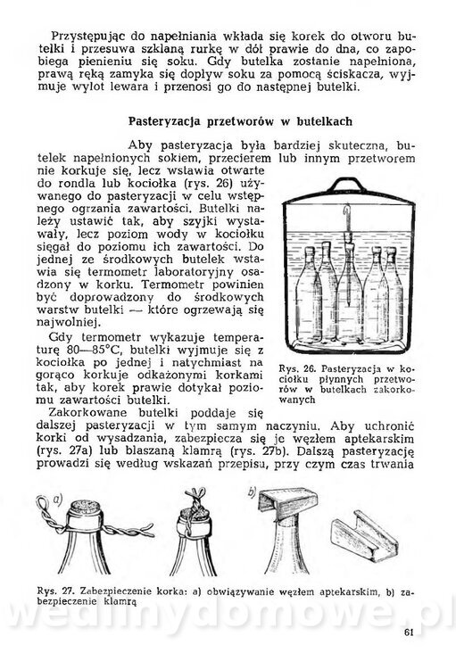 Mering A. - Domowe przetwory z owoców i warzyw_060.jpg