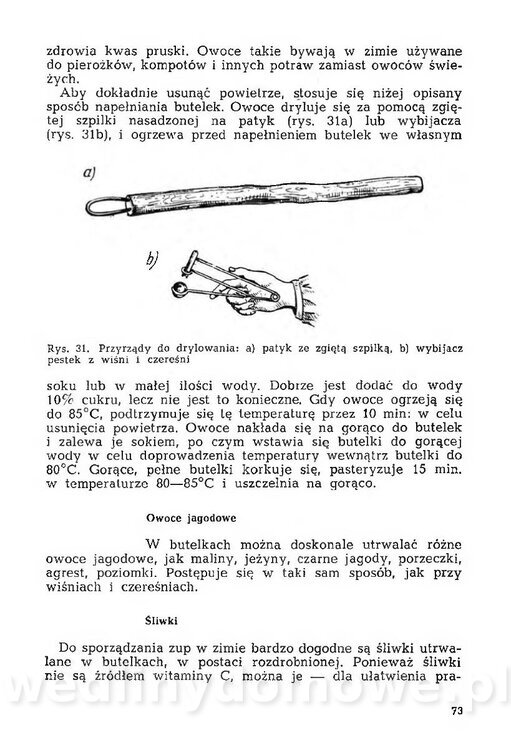 Mering A. - Domowe przetwory z owoców i warzyw_074.jpg